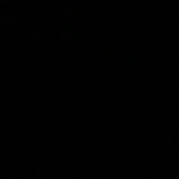 Meet your Posher, Lizzy - Picture 1 of 1